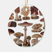 ヴィンテージマッシュルームファミリー植物学プリント セラミックオーナメント (左)