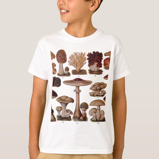 ヴィンテージマッシュルームファミリー植物学プリント Tシャツ (正面)