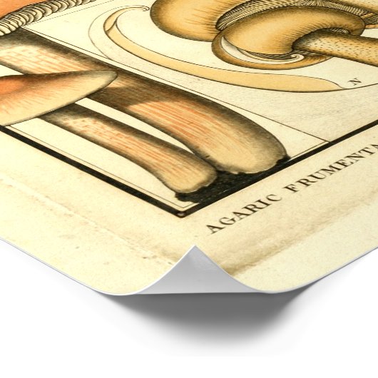 ヴィンテージマッシュルームブラウンイエローアフランスのートプリント ポスター (角)