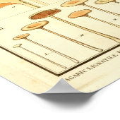 ヴィンテージマッシュルームブラウンキャップフランスのアートプリント ポスター (角)