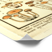 ヴィンテージマッシュルームブラウンキャップフランスのアートプリント ポスター (角)