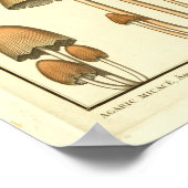 ヴィンテージマッシュルームブラウンキャップフランスのアートプリント ポスター (角)