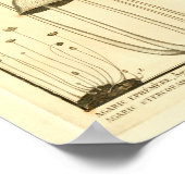 ヴィンテージマッシュルームブラウンホワイトアフランスのートプリント ポスター (角)