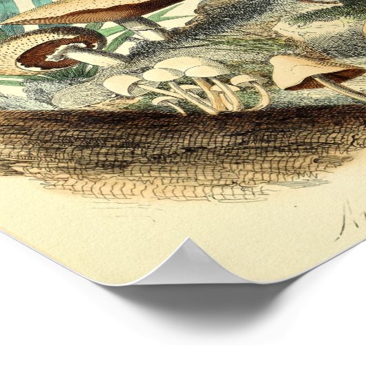 ヴィンテージマッシュルーム品種アートプリントレッドホワイト ポスター (角)