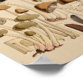 ヴィンテージマッシュルーム品種グリーンブラウンアートプリント ポスター (角)