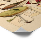 ヴィンテージマッシュルーム品種グリーンレッドアートプリント ポスター (角)