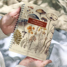 ヴィンテージマッシュルーム自然名と件名