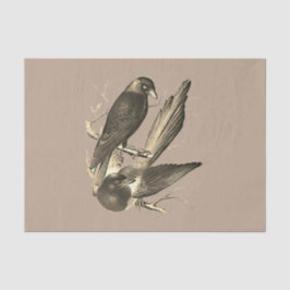 ヴィンテージマッピーとジャックdaw - sepia 薄葉紙