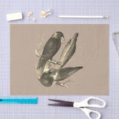 ヴィンテージマッピーとジャックdaw - sepia 薄葉紙 (クラフト)