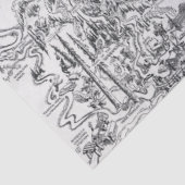 ヴィンテージマップ山レイニエ絵旅行 薄葉紙 (詳細)