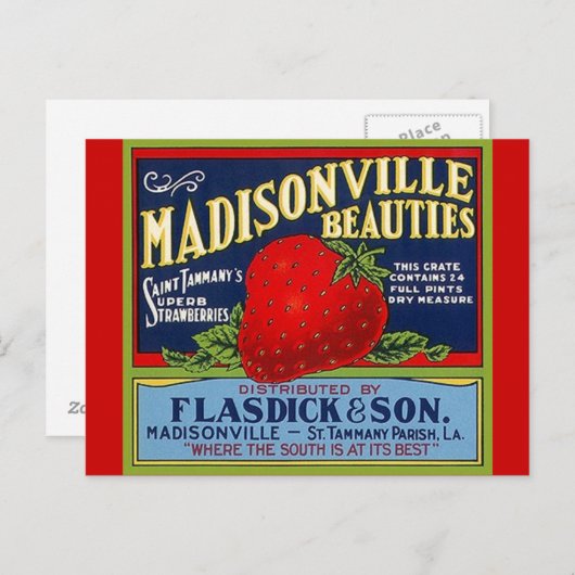 ヴィンテージマディソンビルLAストロベリークレートポストカード ポストカード (正面/裏面)