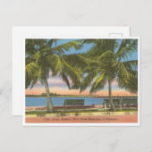 ヴィンテージマナティリバーブラデトンフロリダ ポストカード (正面/裏面)