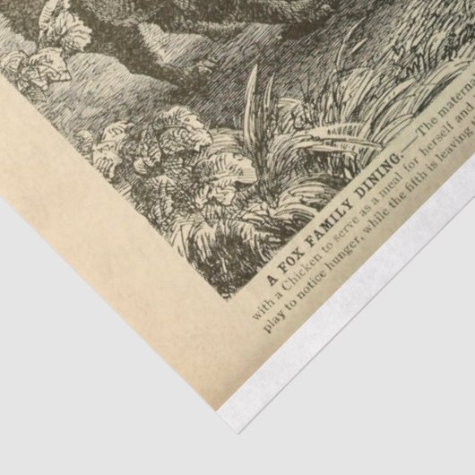 ヴィンテージママキツネエフェメラデクページ 薄葉紙 (詳細)