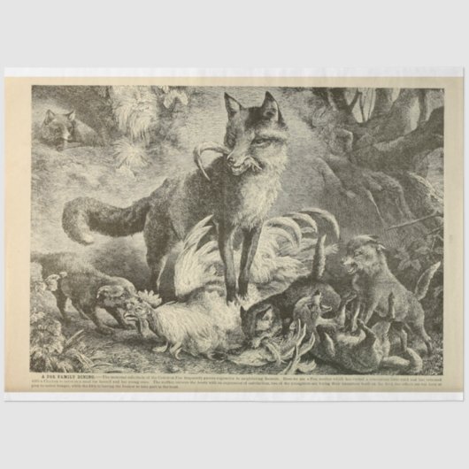 ヴィンテージママキツネエフェメラデクページ 薄葉紙 (正面)