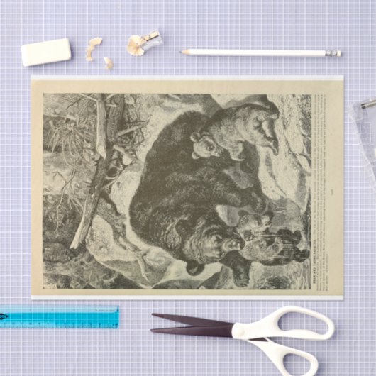 ヴィンテージママベアエフエマデクページ 薄葉紙 (クラフト)