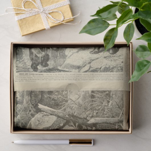 ヴィンテージママベアエフエマデクページ 薄葉紙 (ギフト)