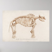 ヴィンテージマモースイラストレーション ポスター (正面)