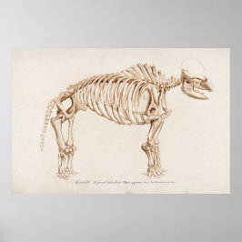 ヴィンテージマモースイラストレーション ポスター