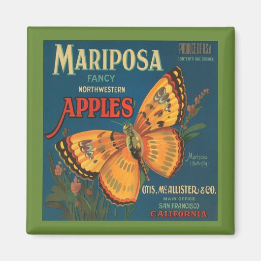 ヴィンテージマリポサアップル磁石 マグネット (正面)