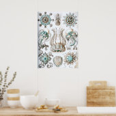 ヴィンテージマリンライフイラストレーション ポスター (キッチン)