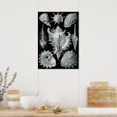 ヴィンテージマリンライフイラストレーション ポスター (キッチン)