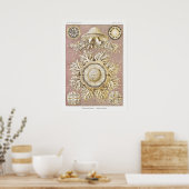 ヴィンテージマリンライフイラストレーション ポスター (キッチン)