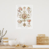 ヴィンテージマリンライフイラストレーション ポスター (キッチン)