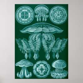 ヴィンテージマリンライフイラストレーション ポスター