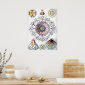 ヴィンテージマリンライフイラストレーション ポスター (キッチン)