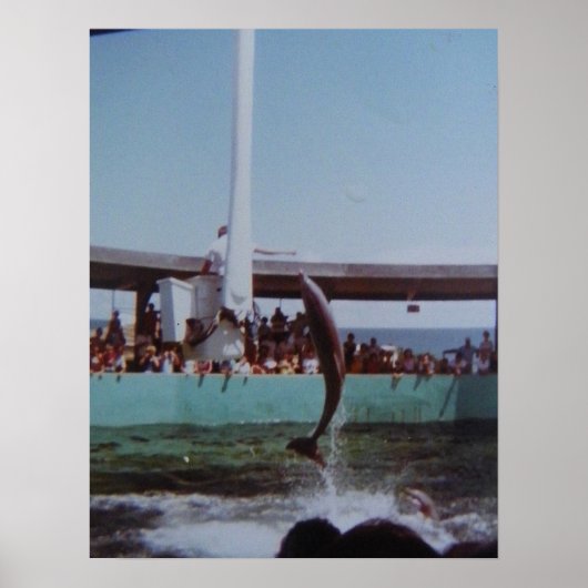 ヴィンテージマリンランド ポスター (正面)