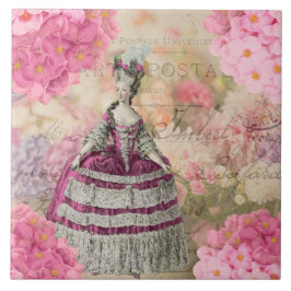 ヴィンテージマリーアントワネット陶磁器タイル タイル