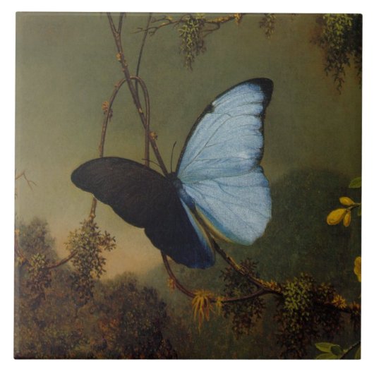 ヴィンテージマーティンジョンソンヘードブルーモルホバタフライ タイル (正面)