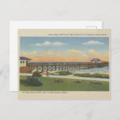 ヴィンテージマートルビーチサウスカロライナ魚釣りピア ポストカード (正面/裏面)