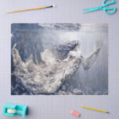 ヴィンテージマーメイドティッシュペーパー 薄葉紙 (クラフト)