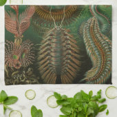 ヴィンテージミズアニッドチェトポダバイエルンストハエッケル キッチンタオル (折り畳み)