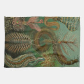 ヴィンテージミズアニッドチェトポダバイエルンストハエッケル キッチンタオル (横)