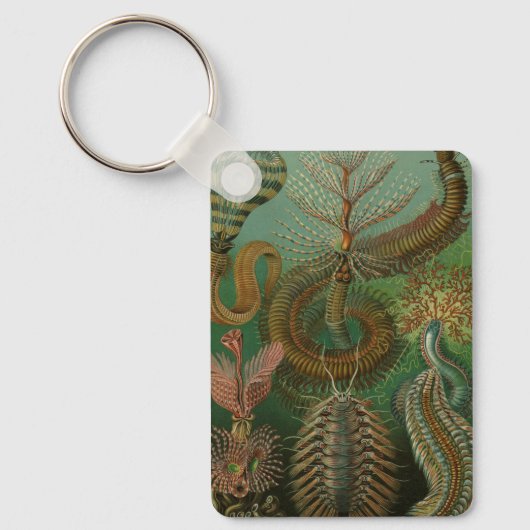 ヴィンテージミズアニッドチェトポダバイエルンストハエッケル キーホルダー (正面)