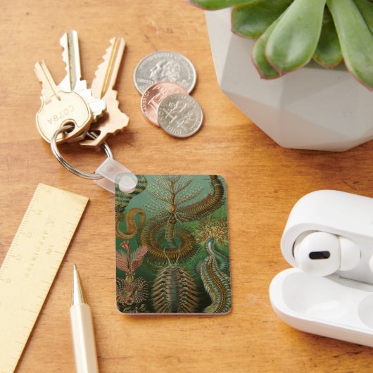 ヴィンテージミズアニッドチェトポダバイエルンストハエッケル キーホルダー (デスク)