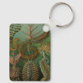 ヴィンテージミズアニッドチェトポダバイエルンストハエッケル キーホルダー (裏面)