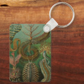 ヴィンテージミズアニッドチェトポダバイエルンストハエッケル キーホルダー (裏面)