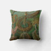 ヴィンテージミズアニッドチェトポダバイエルンストハエッケル クッション (裏面)