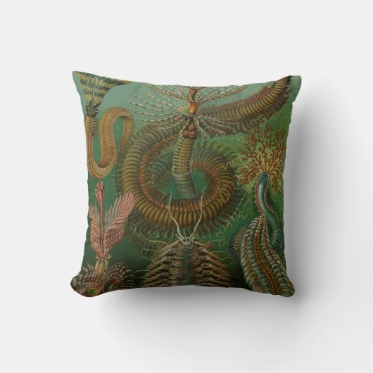 ヴィンテージミズアニッドチェトポダバイエルンストハエッケル クッション (正面)