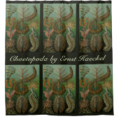 ヴィンテージミズアニッドチェトポダバイエルンストハエッケル シャワーカーテン (正面)