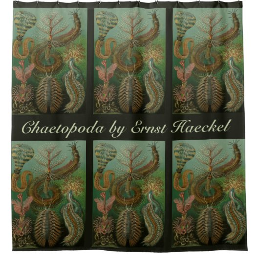 ヴィンテージミズアニッドチェトポダバイエルンストハエッケル シャワーカーテン (正面)