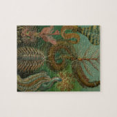 ヴィンテージミズアニッドチェトポダバイエルンストハエッケル ジグソーパズル (横)