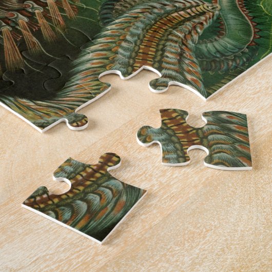 ヴィンテージミズアニッドチェトポダバイエルンストハエッケル ジグソーパズル (側面)