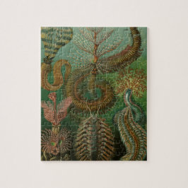 ヴィンテージミズアニッドチェトポダバイエルンストハエッケル ジグソーパズル