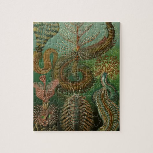 ヴィンテージミズアニッドチェトポダバイエルンストハエッケル ジグソーパズル (縦)