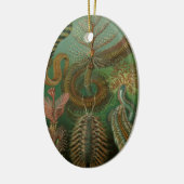 ヴィンテージミズアニッドチェトポダバイエルンストハエッケル セラミックオーナメント (左)