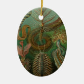 ヴィンテージミズアニッドチェトポダバイエルンストハエッケル セラミックオーナメント (正面)